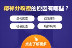 ���������ô���ƣ�